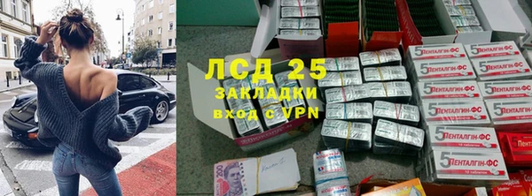 СК Абинск