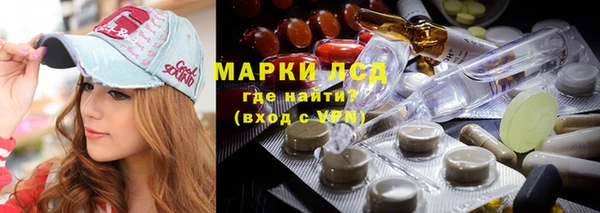 СК Абинск