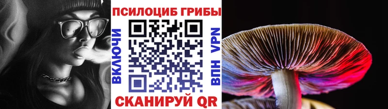 Галлюциногенные грибы ЛСД гидра ссылка Новая Усмань продажа наркотиков